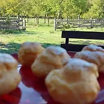 La Quercia Sul Lao Bed and breakfast