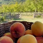 La Quercia Sul Lao Bed and breakfast 3*