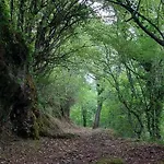 La Quercia Sul Lao 3* Cannecelle