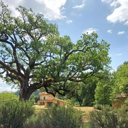 Bed & Breakfast La Quercia Sul Lao *