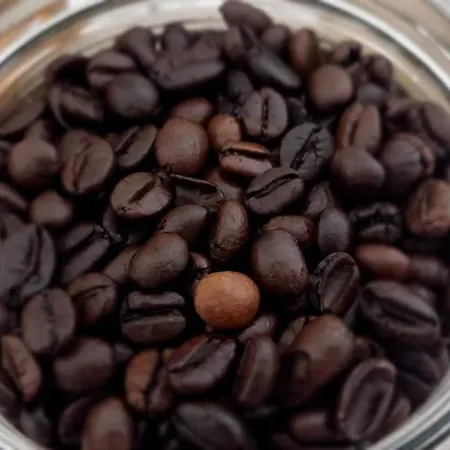 住宿加早餐酒店 La Quercia Sul Lao 3*