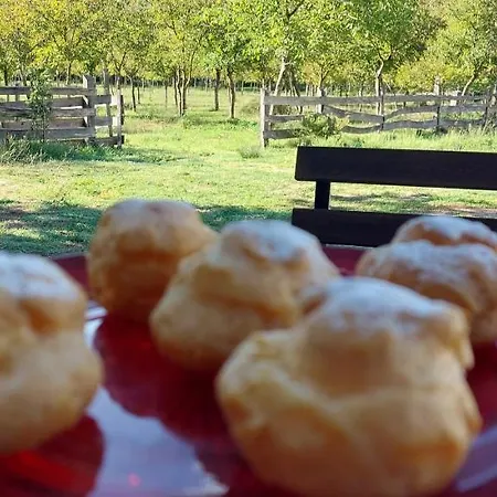 La Quercia Sul Lao Frühstückspension