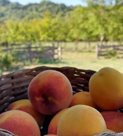 La Quercia Sul Lao Отель типа 