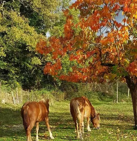 La Quercia Sul Lao Cannecelle