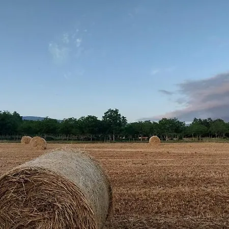La Quercia Sul Lao *