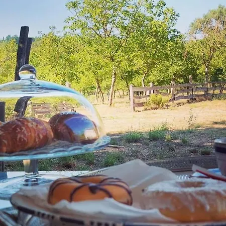 La Quercia Sul Lao *