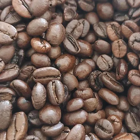 La Quercia Sul Lao Frühstückspension