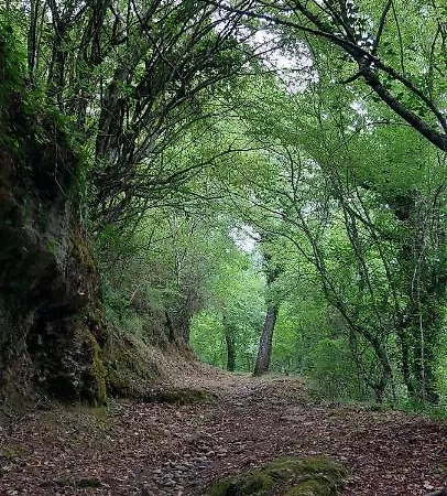 La Quercia Sul Lao 3* Cannecelle