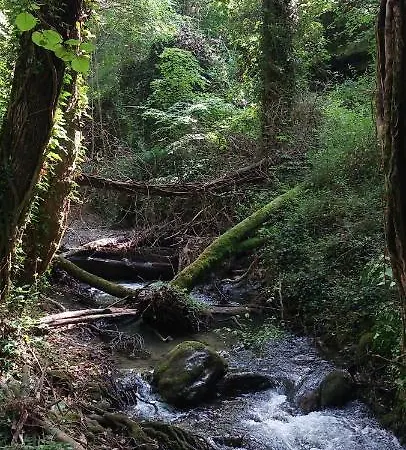 La Quercia Sul Lao Frühstückspension Cannecelle