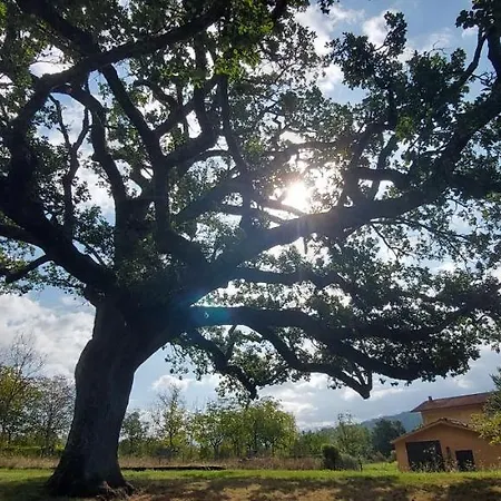 Frühstückspension La Quercia Sul Lao