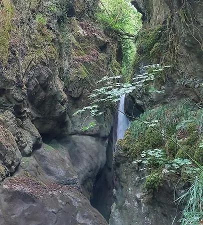 La Quercia Sul Lao 住宿加早餐酒店 Cannecelle