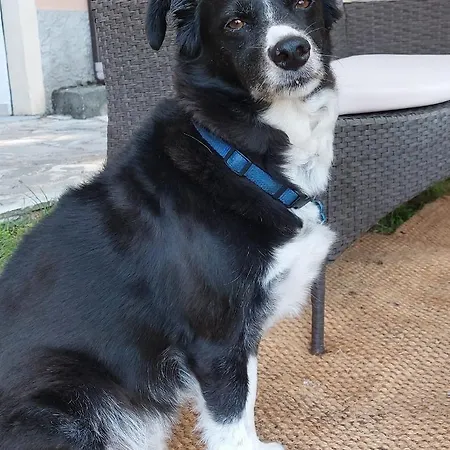 La Quercia Sul Lao 3*