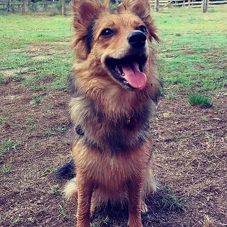 La Quercia Sul Lao 3* Cannecelle