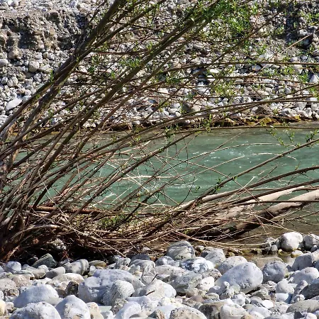Frühstückspension La Quercia Sul Lao 3*