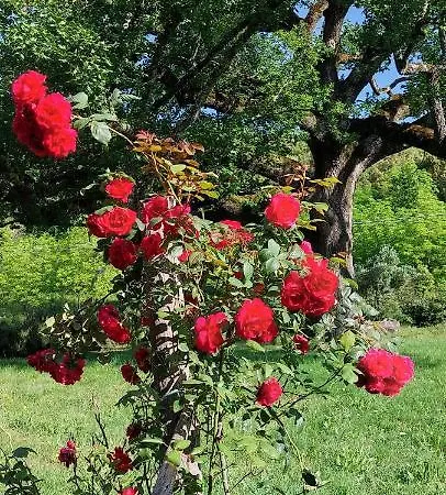 La Quercia Sul Lao Frühstückspension 3*