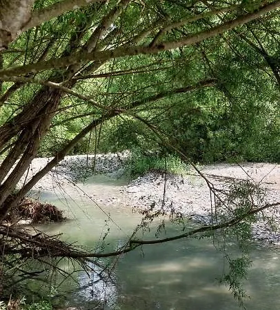 La Quercia Sul Lao * Cannecelle